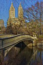 Bow Bridge View, Central Park, NYC - by Ron Diel