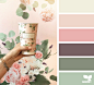 Design Seeds : Design Seeds color palettes ... posted daily for all who love color.