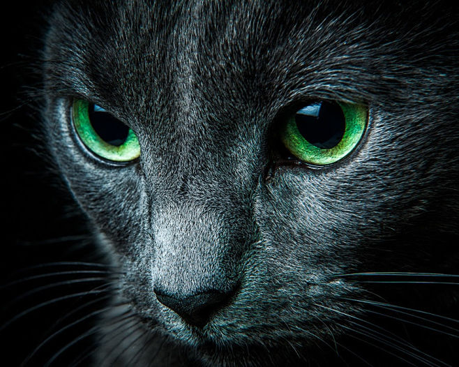 Green eyed blue by A...