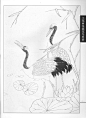 《工笔画线描动物画谱》之仙鹤篇 