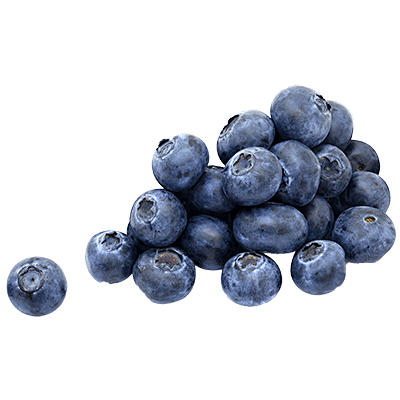 蓝莓 (6)