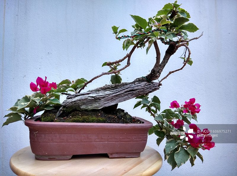 d68e1a39af5f15bda02f9477573cf22d778d7e882dfdd-V5KTe8