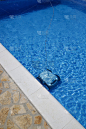 用水下吸尘器清洁泳池地板，泳池保养概念。