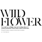 “Wild Flower” Erin Wasson Vogue Netherlands May 2013 Petrovsky Ramone