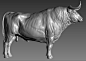 bull, A_ models : bull