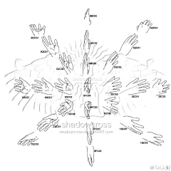 樱花鹿儿采集到手