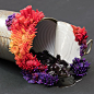 Discarded Objects are Beautified with Colorful Coral-Like Growths by Stephanie Kilgast : Stephanie Kilgast takes discarded objects like tin cans, jam jars, and old cameras and embellishes them with vibrant amalgamations of coral-like growths. The artist h