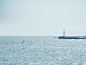 black and white ship on sea under white sky during daytime