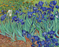 Irises, 1889 - Vincent van Gogh - WikiArt.org : ‘Irises’ was created in 1889 by Vincent van Gogh in Post-Impressionism style. Find more prominent pieces of landscape at Wikiart.org – best visual art database.