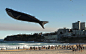 在悉尼邦迪海滩风筝节上出现的一只鲸鱼风筝。