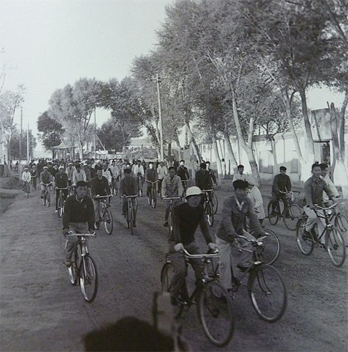 50年代呼市骑自行车下班的人们