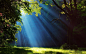 General 1230x768 landscape nature forest grass sun rays trees mist blue green