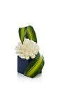 White tulips and dracena leaves on blue plexiglass vase #ArmaniFiori: 