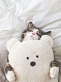 cuddle buddy.: 