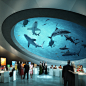 Fancy - Shark Filled Atrium @ Miami Science Museum