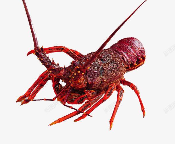 d754f13ab683b5d3bba26d7b27de119f0c76b6338b0d-chJJ9k