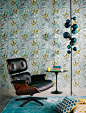 Jérôme Galland Photographe, Décoration, Still life, Voyage, Portrait - interiors