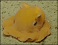 可能是号称“深海小飞象”的烟灰蛸（xiāo），在清洁身体