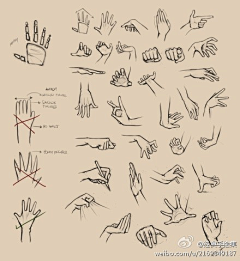 罗娜海拉采集到各种手势手绘图