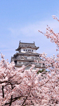 Japan Himeji Castle #美景# #摄影师#