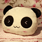 超可爱的熊猫抱枕 #萌货#