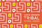 14+手绘抽象部落民族风图案素材 Abstract Tribal | Boards + Patterns #2883057 :  