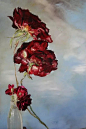 法国传奇女画家 Claire Basler