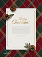 松树枝圣诞元素圣诞狂欢圣诞贺卡礼物主题海报PSD素材