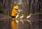 【美图分享】Jake Olson Studios的作品《Follow The Leader》 #500px# @500px社区