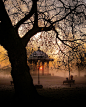日落公园，英国伦敦