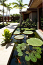 Zen garden with Koi pond up against the front of the home