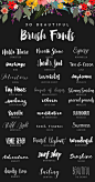 30 Delightful Brush & Script Fonts