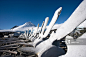 Whale bones in Antarctica._创意图片