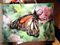 Butterfly Watercolor Painting by Riberry