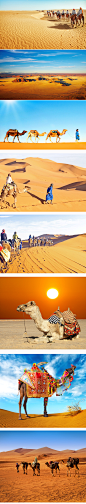 高清一带一路骆驼沙漠驼队banner背景图2