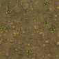 C2_Ground_Forest.(Texture)