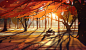 Autumn - Countryside, Bastien Grivet : Autumn... again... and my lady. 