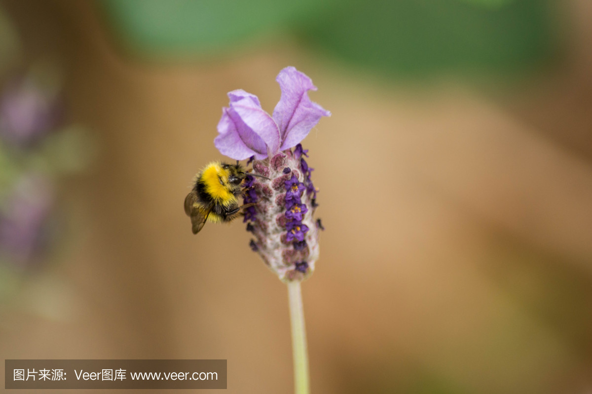 d7f70733ce39605aef4cef68e9c9397f41f5cf341be86-gHL10L