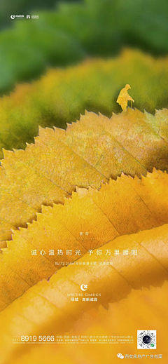 HUIQIONG_🍃采集到地产-节气