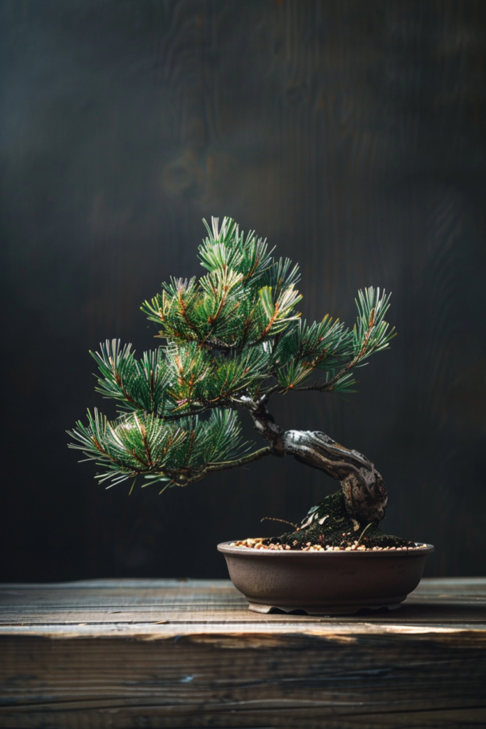 d7fa21843229ec522c186c1e8c430a44ea5cb82de27ca-pvD06M