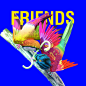 “friends“