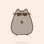 Pusheen the cat