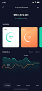 Crypto Balance visualization