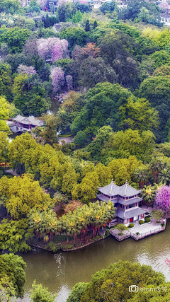 厌嘁采集到相爱相杀海报