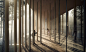 画廊 年轻建筑师赢得挪威新森林芬兰人文化博物馆一等奖  - 5 : Image 5 of 7. 捉迷藏。图片致谢 Lipinsky Lasovsky Johansson