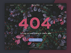 Afeya采集到404  web页