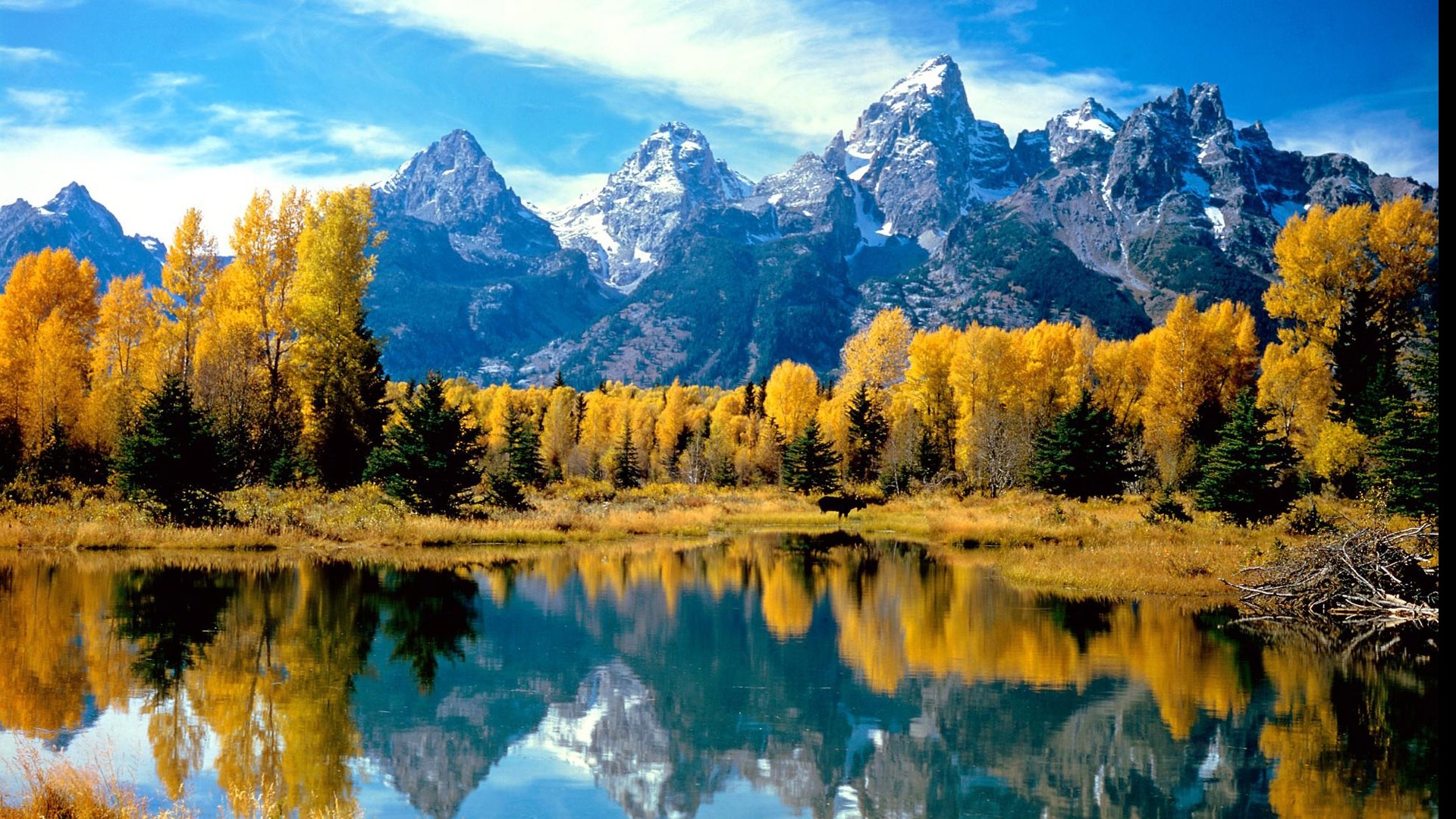 d829d4b5a2458d42570651bc01d4a98c033ae39f998a1-63UAGS