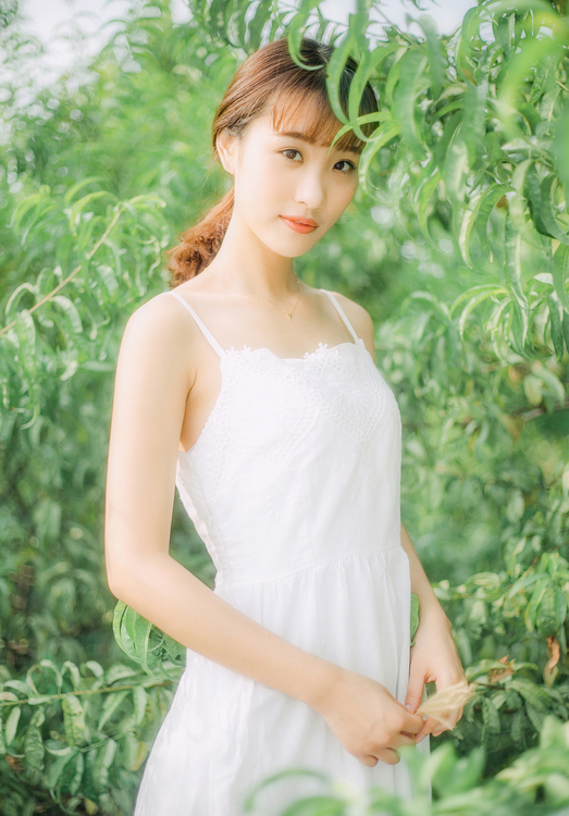 d82e13f36a7cf5acf9d488aa6f9f7646cc19e9b866e2b-lWOOel