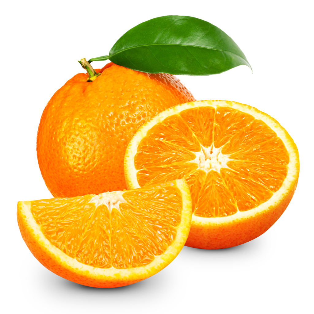 d8350375e0363b63d19a0e882b9584136fd48f08c5a64-nilawr