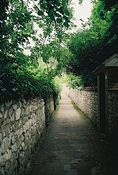 镇小澈采集到风景